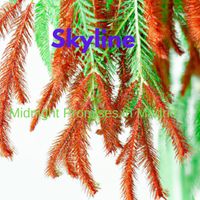Skyline - Midnight Promises in Madrid