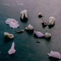 ZULI - Care
