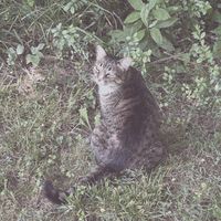 Glum - where have you gone