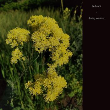 Fellirium - Spring Equinox