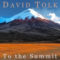 David Tolk - To the Summit