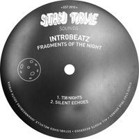 Intr0beatz - Fragments of the Night