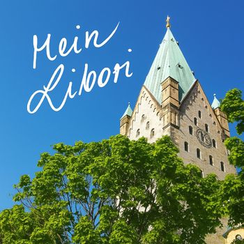 MODU - Mein Libori