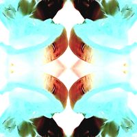QUBE - SIGILX6