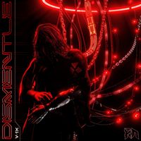 V-1X - Dismentle