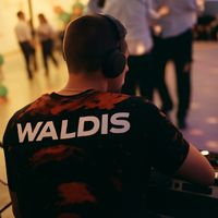 Waldis - W Ustce Na Plazy