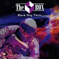 The Box - Black Dog There