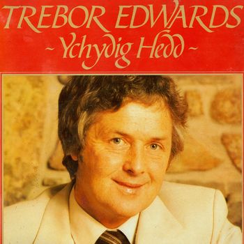 Trebor Edwards - Ychydig Hedd