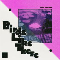 Pool Culture - Birds Like These