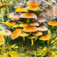 Clocks - cacophonous cavalcade of coldcuts