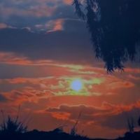 Fredy - Unspoken