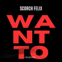 Scorch Felix - Want To