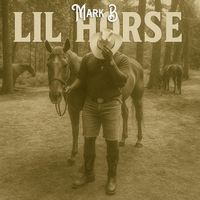 Mark B - LiL Horse