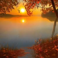 兰秋月 - 睡眠音乐 放松大脑 舒缓压力 睡眠曲 深度睡眠 大自然轻音乐 催眠曲