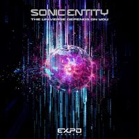 Sonic Entity - The Universe Depends on You