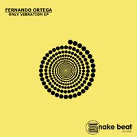 Fernando Ortega - Only Vibration