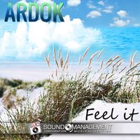 Ardok - Feel It