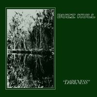 Buzz Kull - Darkness