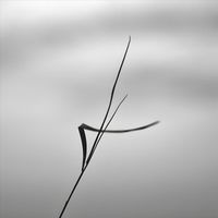 Heinali - Brave Little Heart