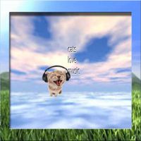 mooch - cats love music (Explicit)