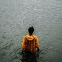 Nikonn - You're free