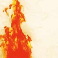 Ters - Ojalá Que Te Enamores