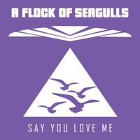 A Flock Of Seagulls - Say You Love Me
