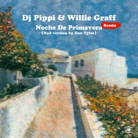 DJ Pippi & Willie Graff - Noche De Primavera (Nad version by Dan Tyler)