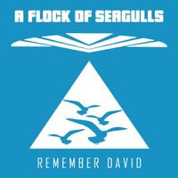 A Flock Of Seagulls - Remember David