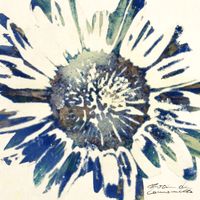 MANCHA - Fiori di Camomilla