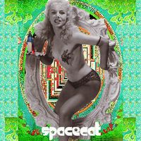 Spacecat - Something from Nothing