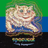 Spacecat - Duality Deprogrammer