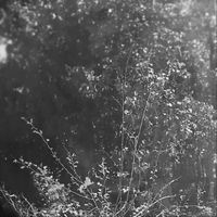 Brent Blount - 13 Moon of the Lamb (Metal Poetry with Sax)