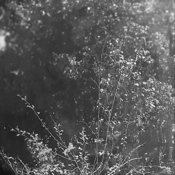 Brent Blount - 13 Moon of the Lamb (Metal Poetry with Sax)