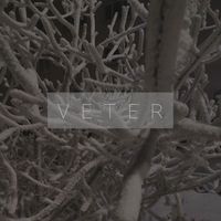 veter - Винтовка