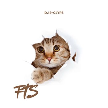 DJ E-Clyps - FTS (Explicit)