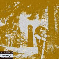 Knight - Guldmønter