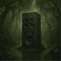 Charlie B - Swamp Tune