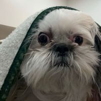 Sebastian - Todays My Birthday Yipeee