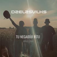 Dzelzs Vilks - Tu Negaidīji Rītu Akustiski