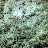 SAD - Pellucid