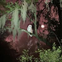 Beak - Ccm (Explicit)