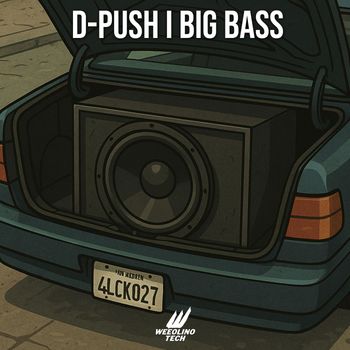 D-Push - Big Bass