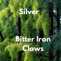 Silver - Bitter Iron Claws
