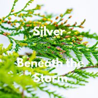 Silver - Beneath the Storm