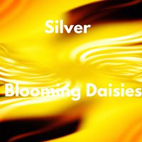 Silver - Blooming Daisies