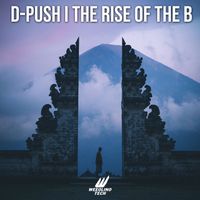 D-Push - The Rise Of The B