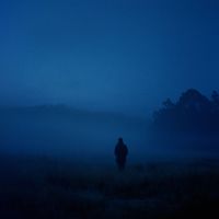 Coste - veil