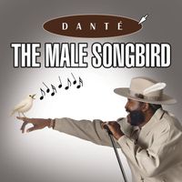 Dante - The Male Songbird