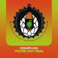 Cesarplugg - You're Not Real